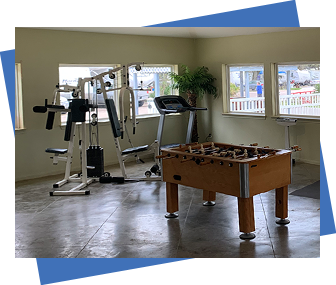 Family Games and Exercise Equipment
